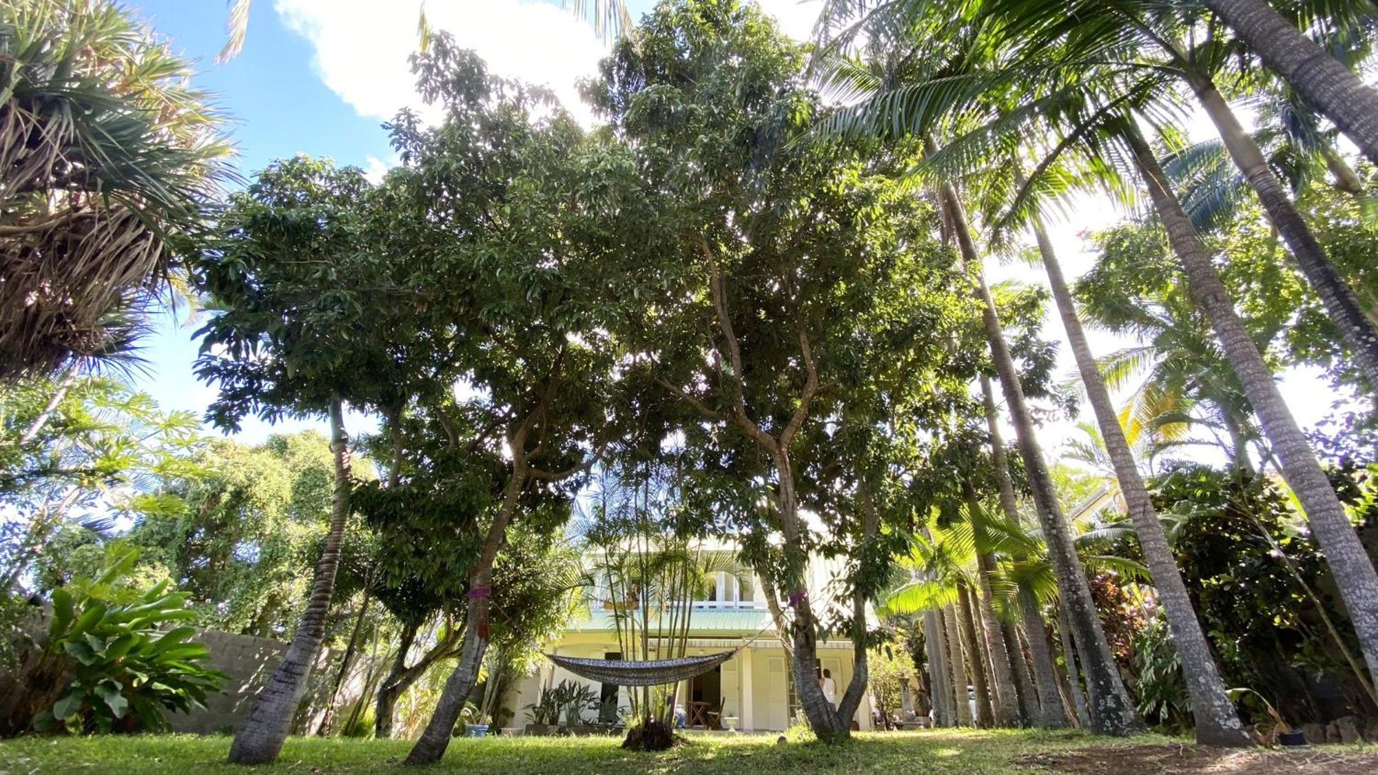 Coliver - Coliving A La Reunion Saint Pierre Esterno foto