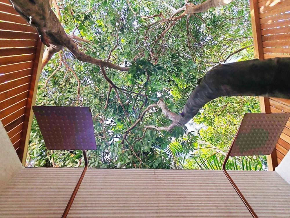 Coliver - Coliving A La Reunion Saint Pierre Esterno foto