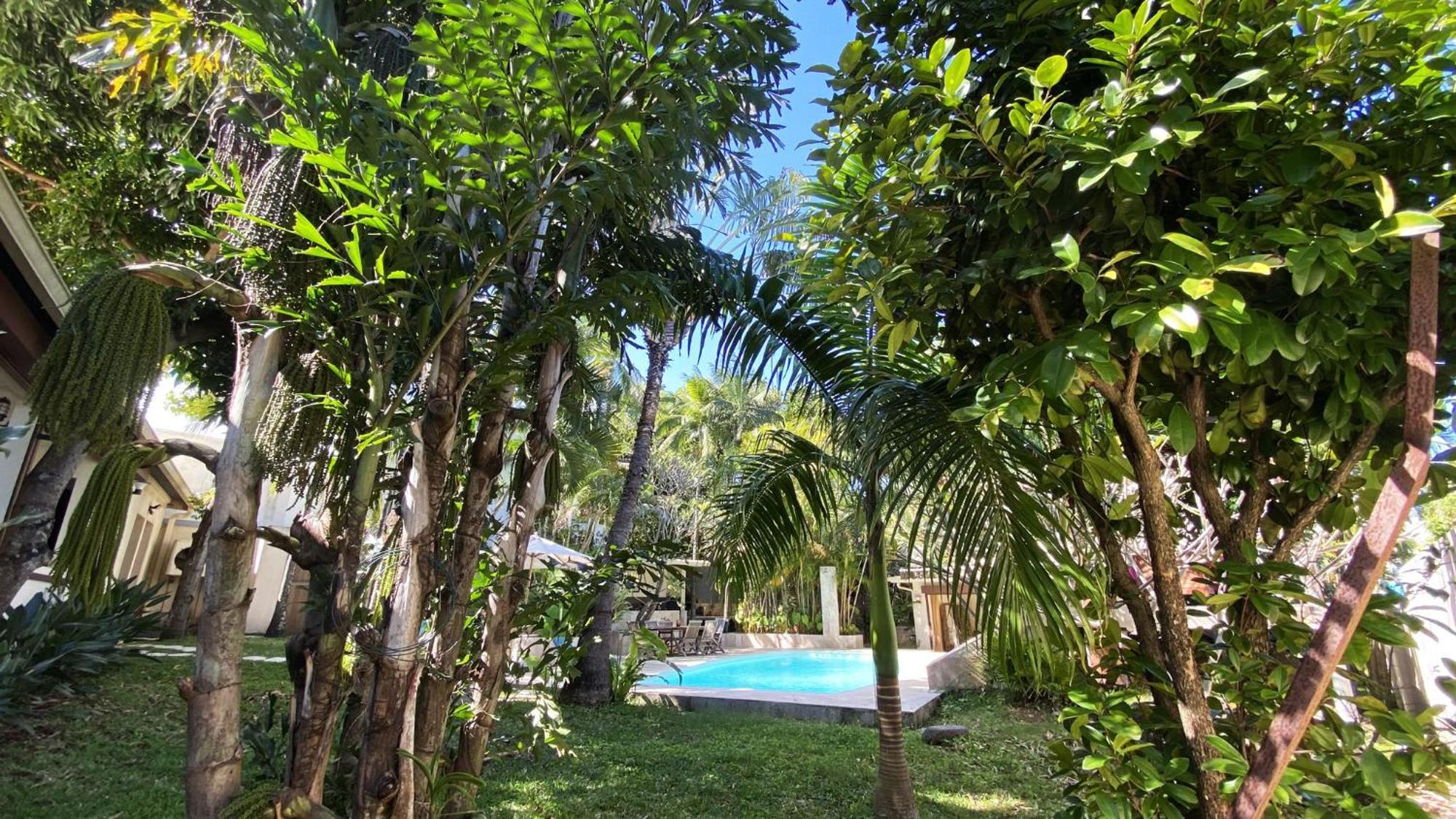 Coliver - Coliving A La Reunion Saint Pierre Esterno foto