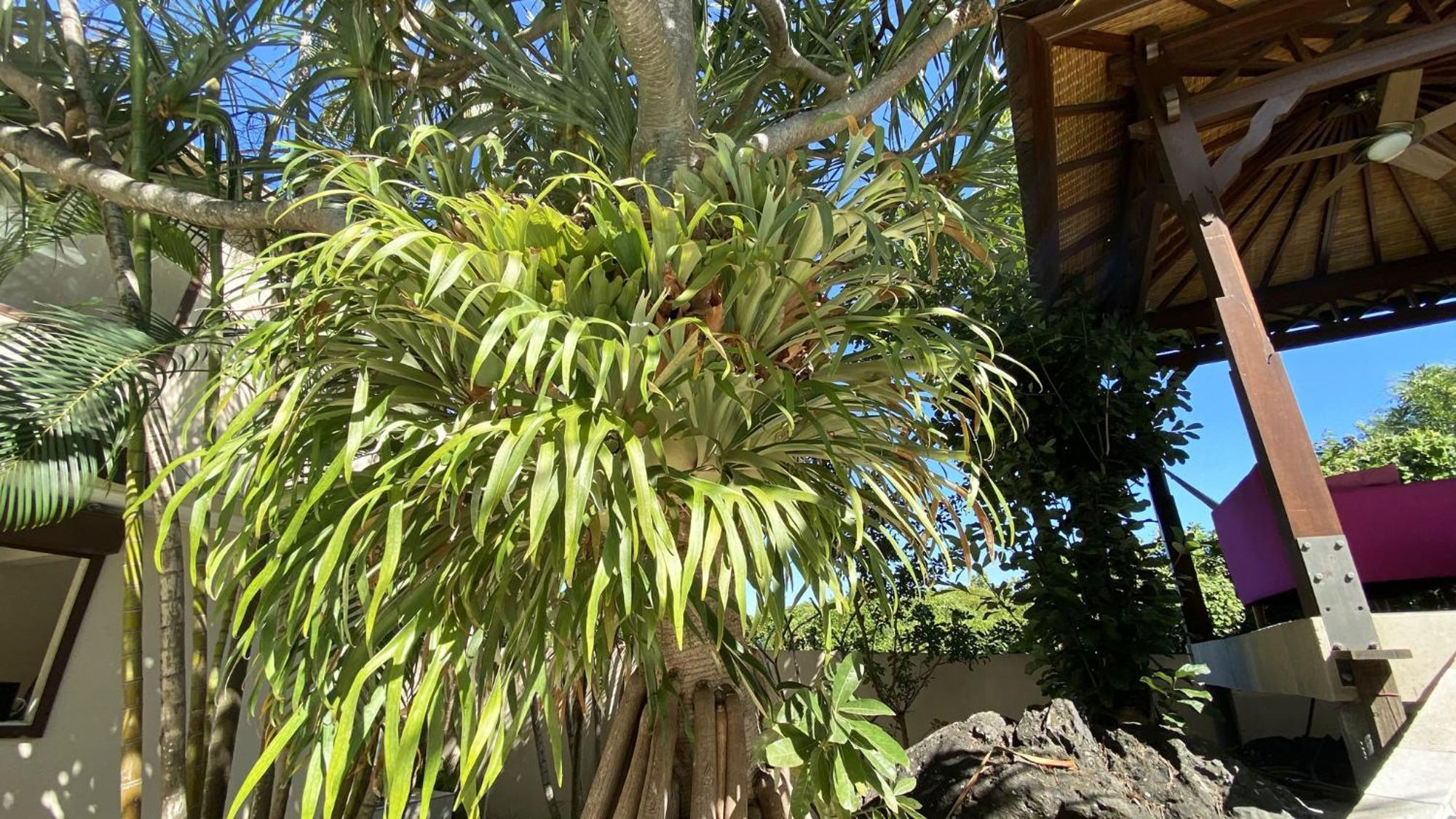 Coliver - Coliving A La Reunion Saint Pierre Esterno foto