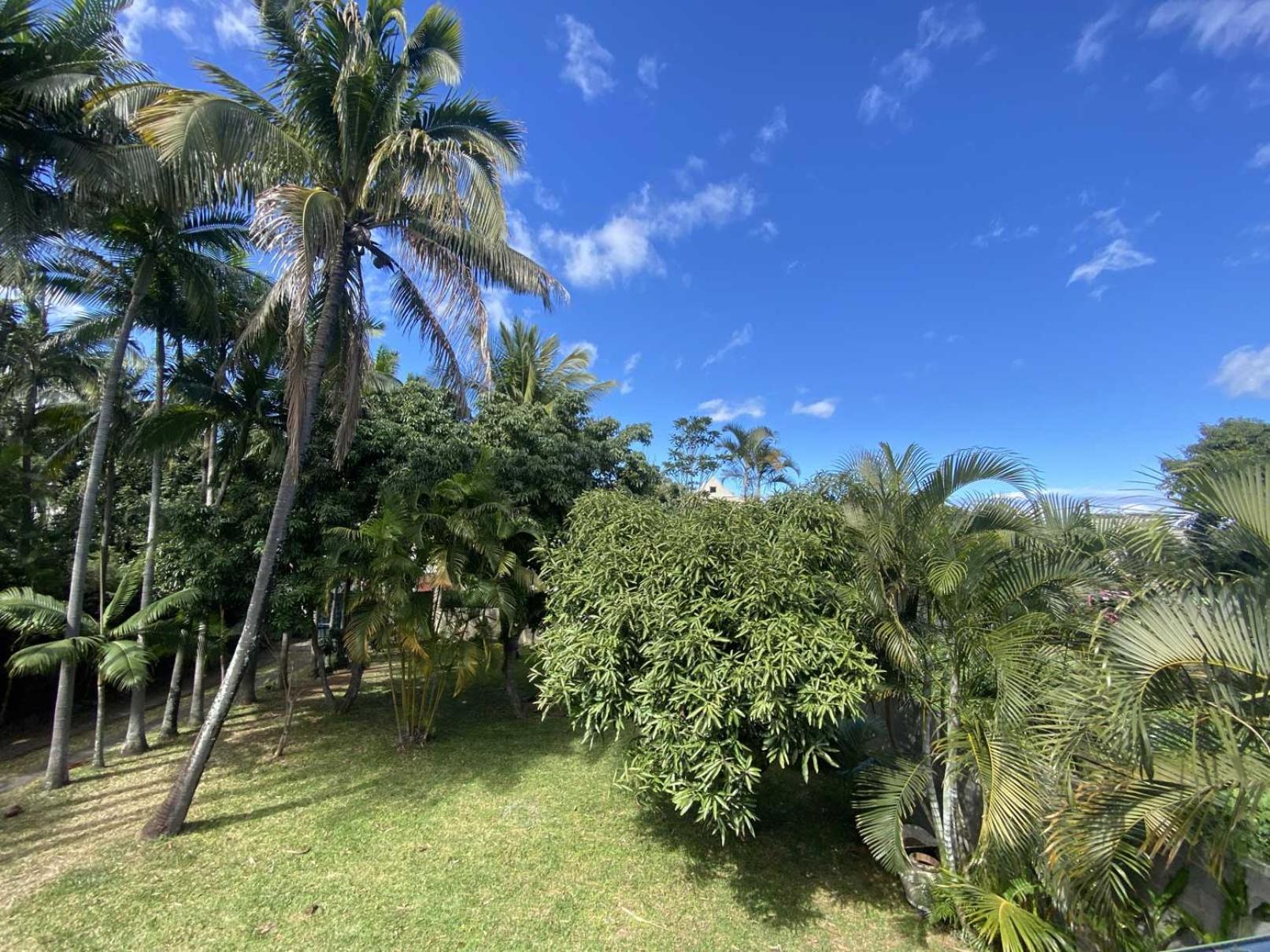 Coliver - Coliving A La Reunion Saint Pierre Esterno foto