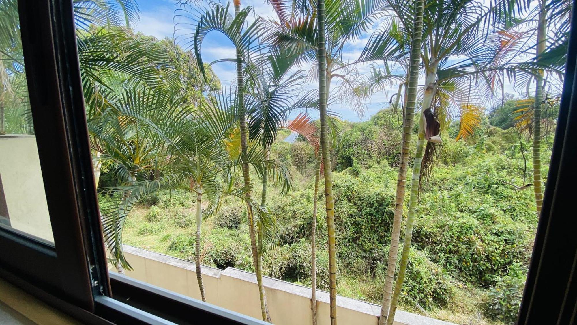 Coliver - Coliving A La Reunion Saint Pierre Esterno foto